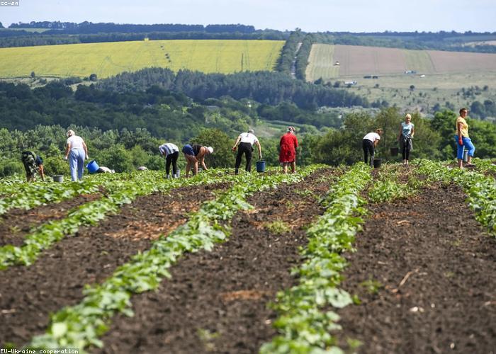 Наемане на сезонни работници от трети страни